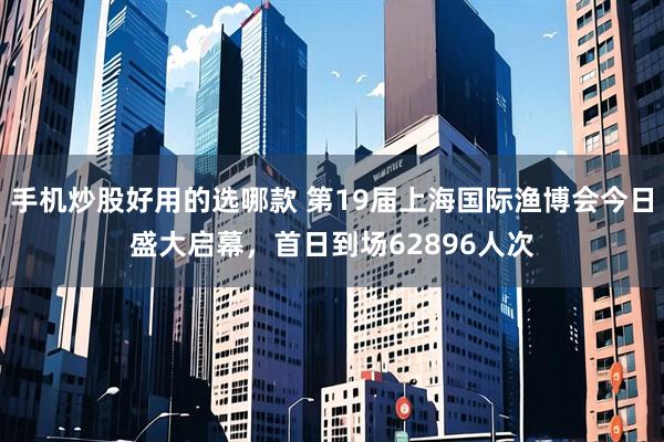 手机炒股好用的选哪款 第19届上海国际渔博会今日盛大启幕，首日到场62896人次
